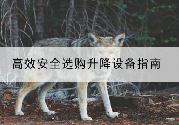 珙县升降货梯厂家推荐-*安全选购升降设备指南