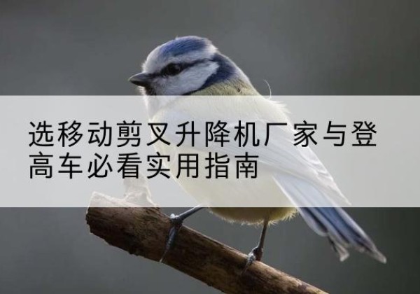 珙县电动升降机厂家-选移动剪叉升降机厂家与登高车必看实用指南